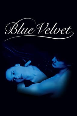 Book Club: BLUE VELVET poster