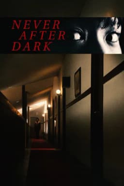 Never After Dark poster